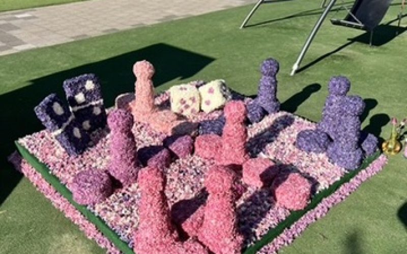 07D72606-4701-4B46-BD0F-5625B5C97D15_4_5005_c